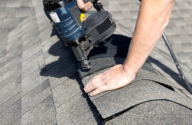 Best Roof Moss and Algae Removal  in Clarendon Hls, IL